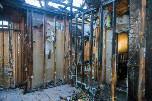 Professional Fire Damage Removal technician working in Owings, MD